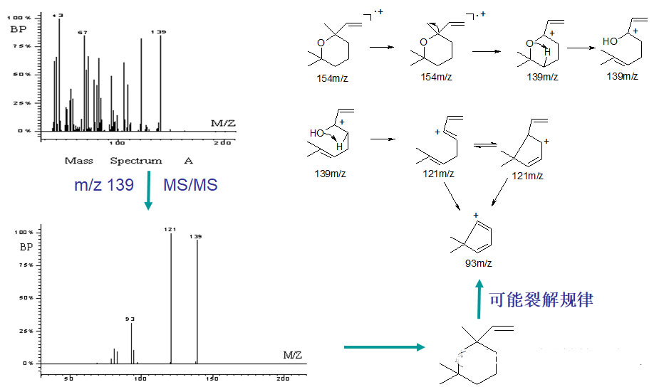 氣相色譜-質(zhì)譜定性分析 氣相色譜-質(zhì)譜定性分析
