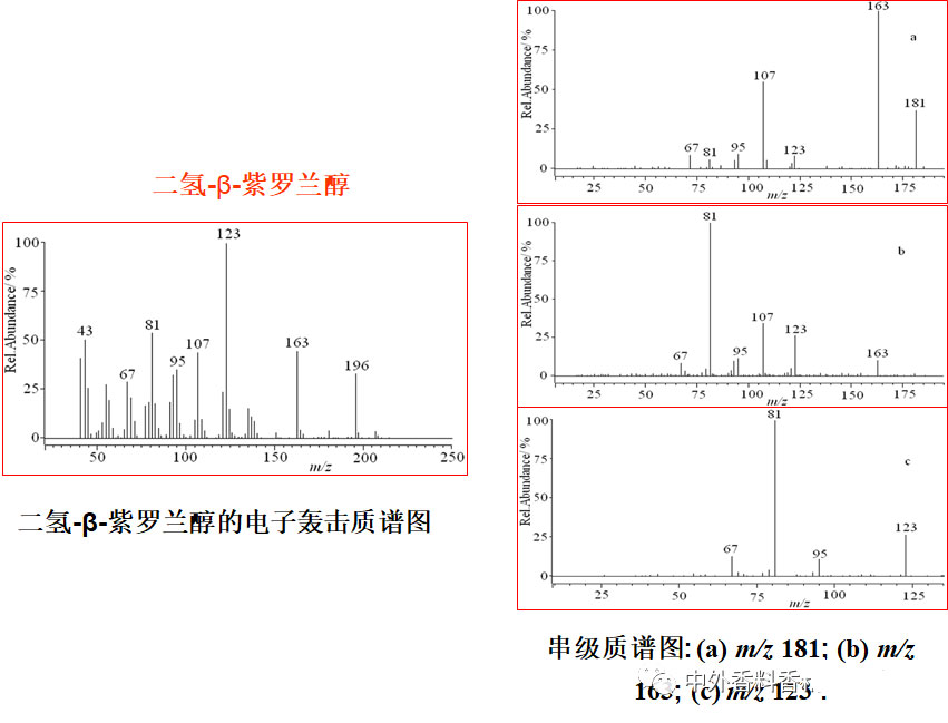 氣相色譜-質(zhì)譜定性分析 氣相色譜-質(zhì)譜定性分析
