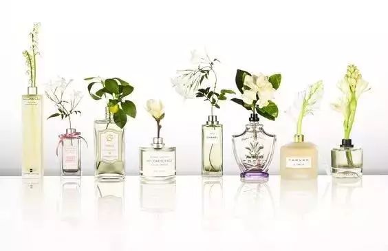 DeepSeek發(fā)布行業(yè)白皮書(shū)：AI如何顛覆日化香精的研發(fā)與市場(chǎng)趨勢(shì)預(yù)測(cè)