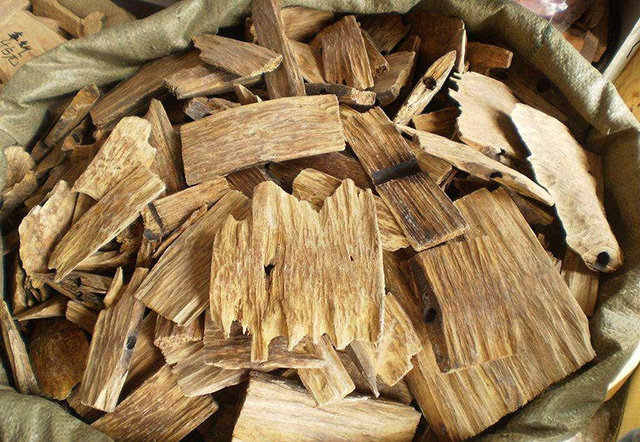 最強”男士氣場“水泥森林中的軍備競賽！